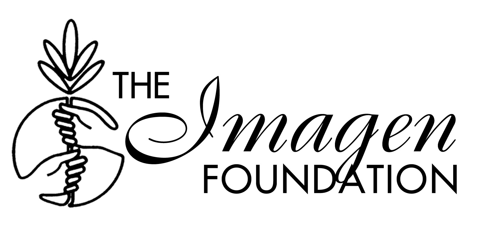 The Imagen Foundation